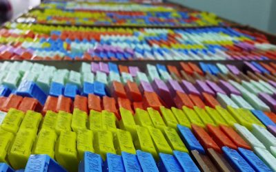 What is Histology Wax?