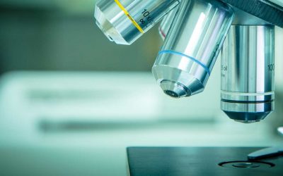 The Importance of Choosing the Right Tissue Embedding Wax