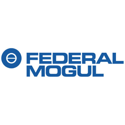 Poth Hille Clients Federal Mogul