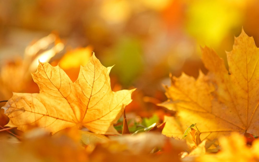 September – A busy month for Poth Hille
