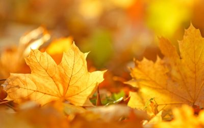 September – A busy month for Poth Hille