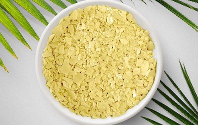 The Origin of Carnauba Wax: Uses & Benefits