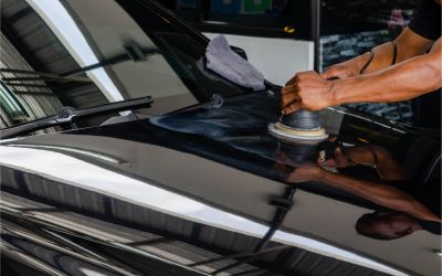 Poth Hille to Showcase Products at Waxstock 2023